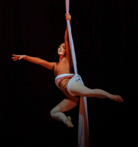 Medaile v Aerial Arts